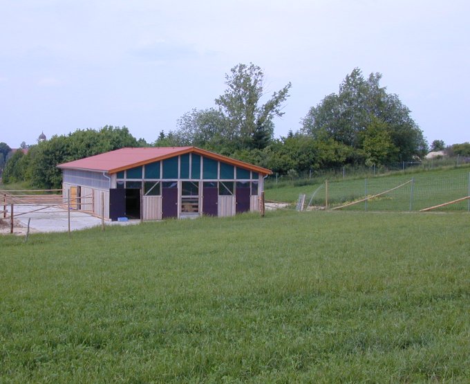 halle